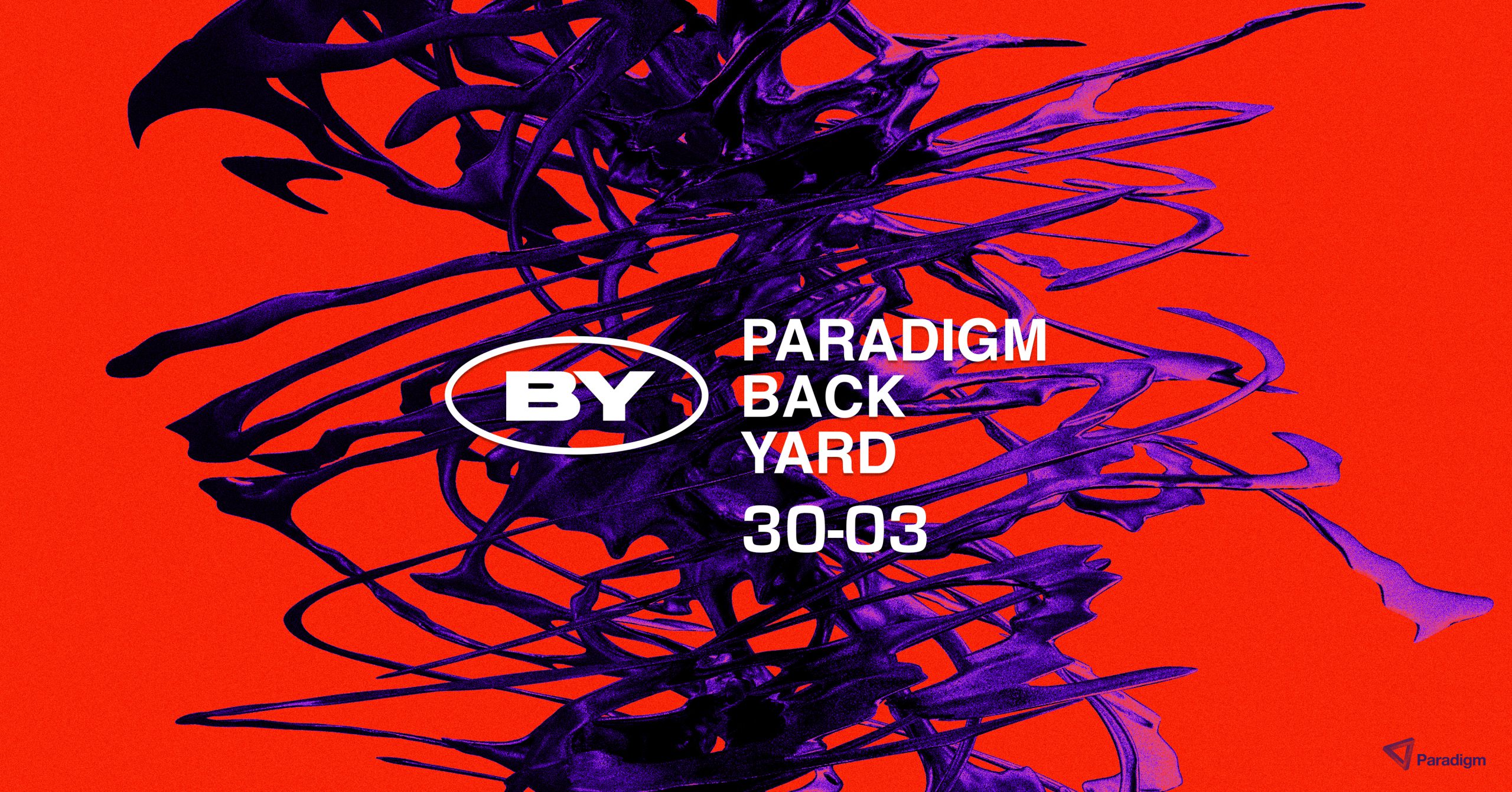 Paradigm Backyard banner